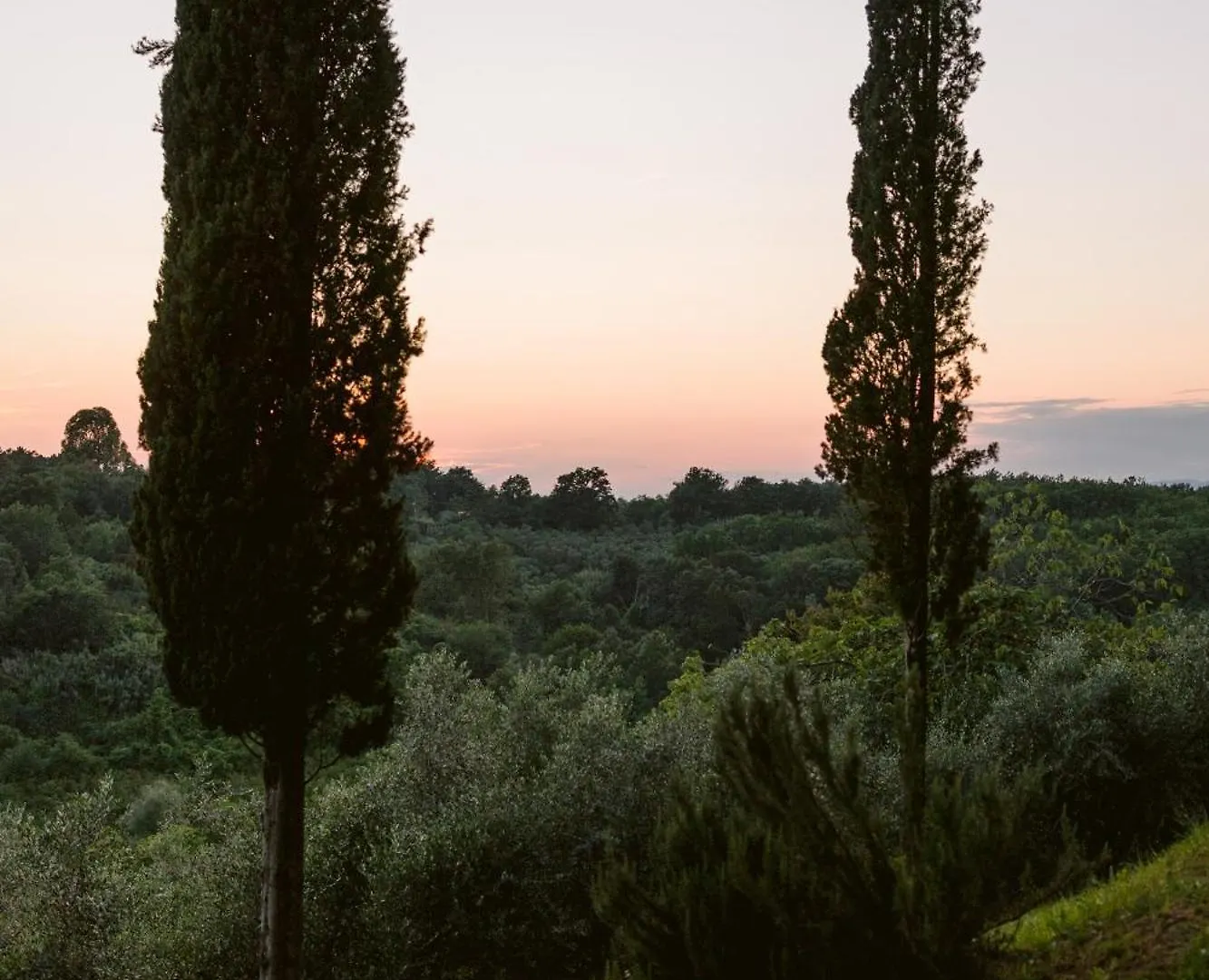 Villa Delia Hotel And Cooking School Rivoli  Italia