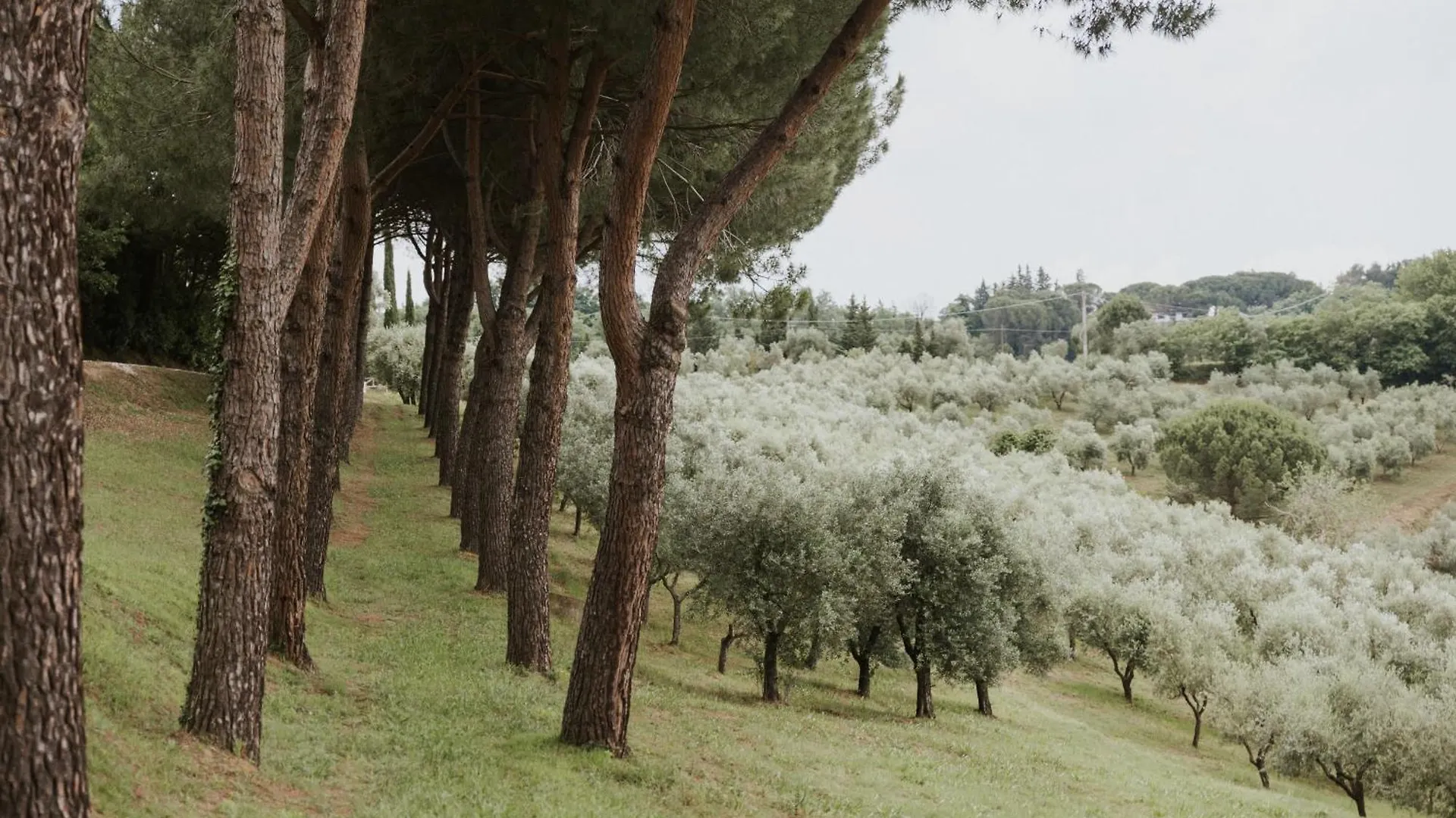 Villa Delia Hotel And Cooking School Rivoli