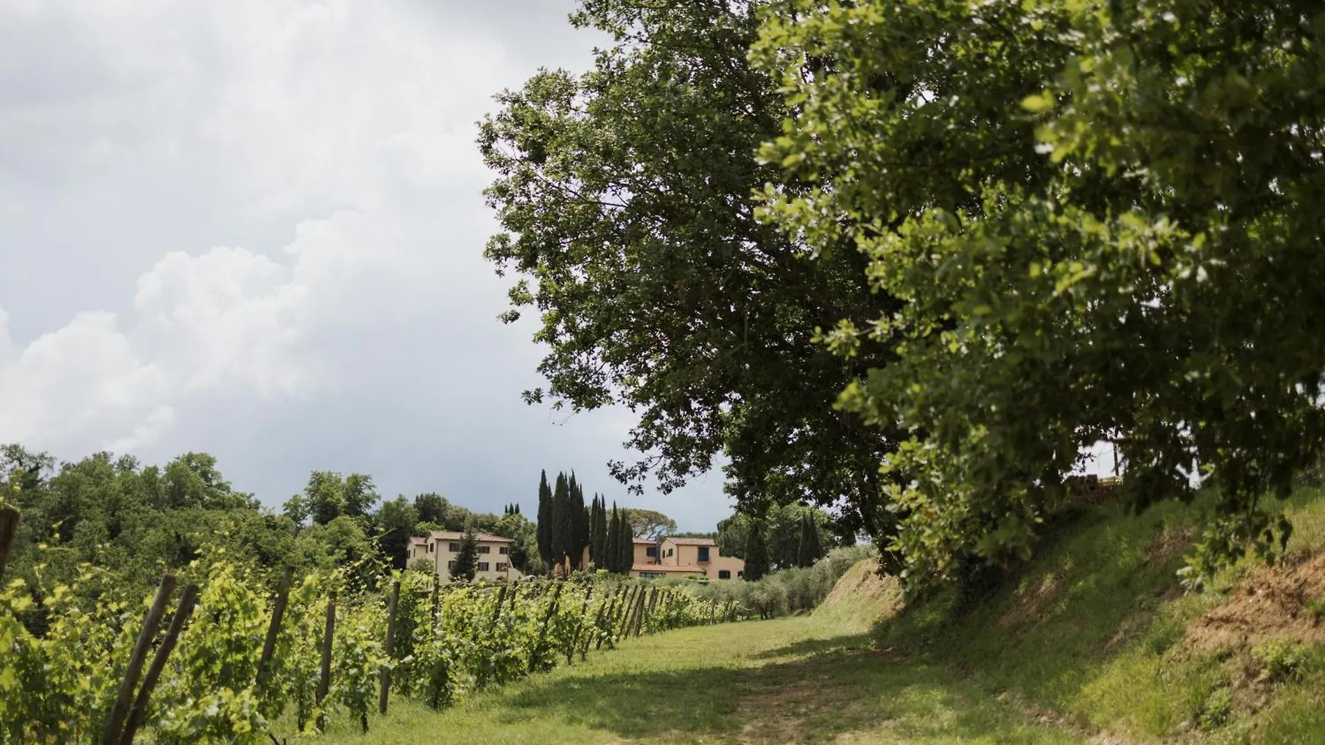 Villa Delia Hotel And Cooking School Rivoli   Rivoli (Pisa)
