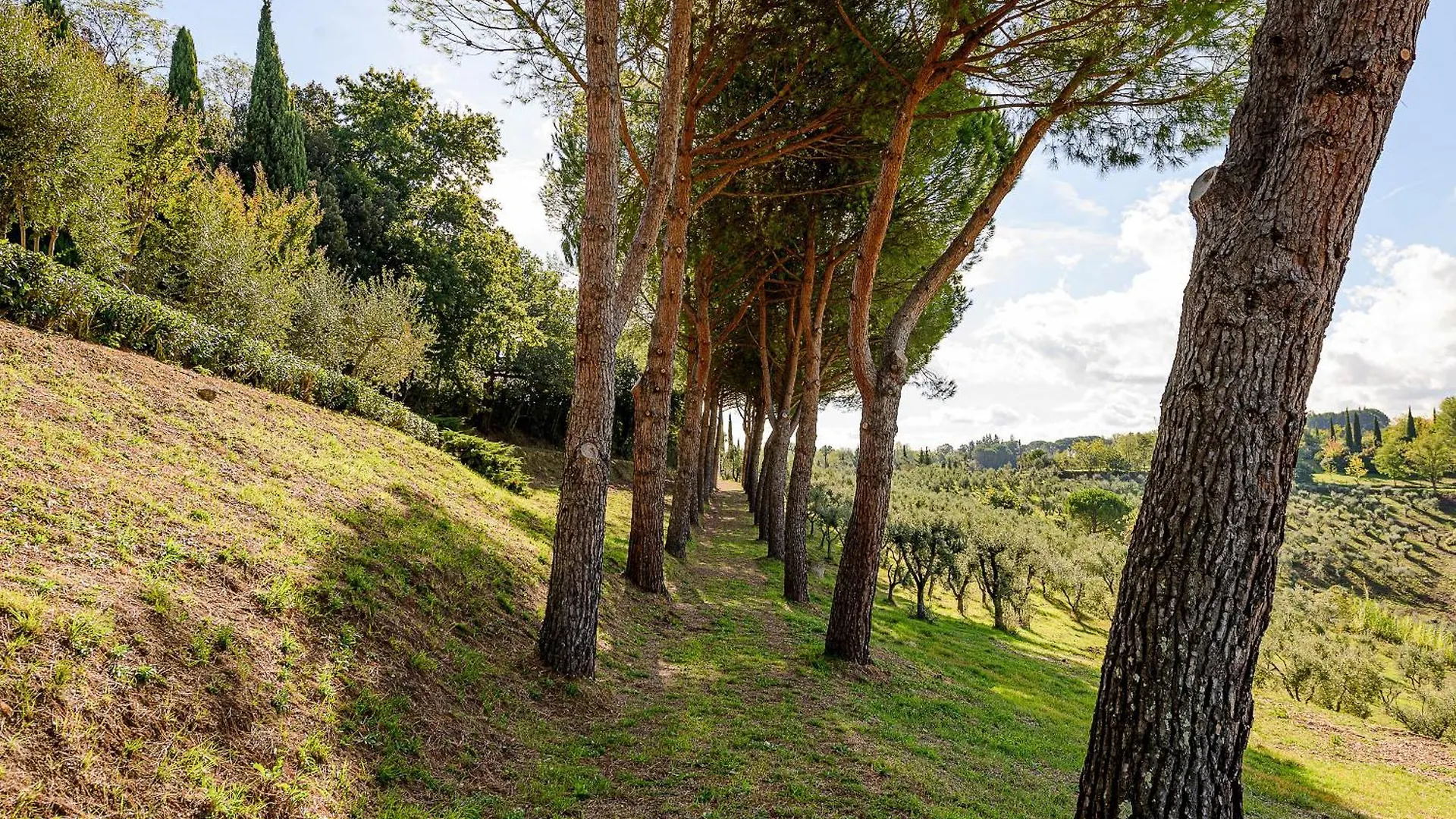 Villa Delia Hotel And Cooking School Rivoli  4*, Rivoli (Pisa)